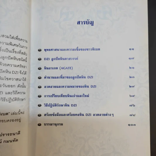 ราชาแห่งธาตุศักดิ์สิทธิ์ หินทิเบต - กณวรรธน์ กมนทัต รูปที่ 13