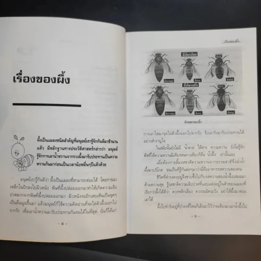 ผึ้ง - ภาณุทรรศน์ รูปที่ 12