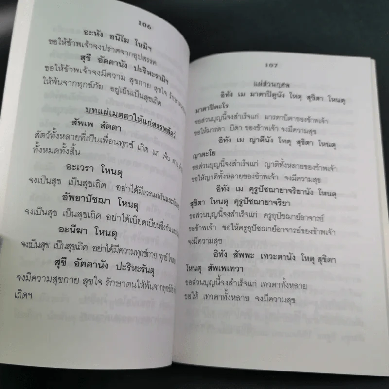 12 วิธีพิชิตมะเร็ง - อ.ชาญชัย บุญเฮ้า รูปที่ 10