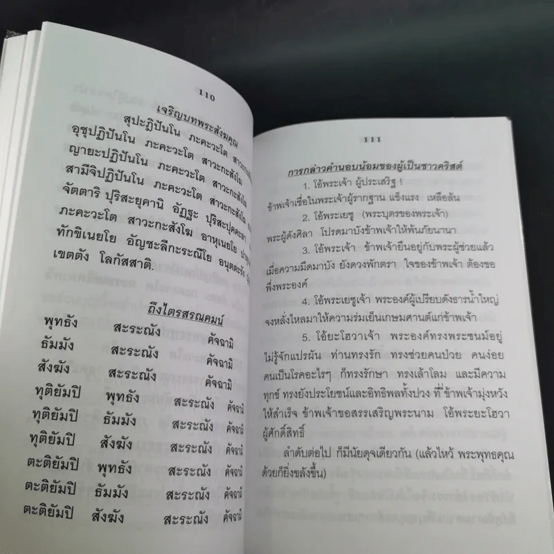 12 วิธีพิชิตมะเร็ง - อ.ชาญชัย บุญเฮ้า รูปที่ 11