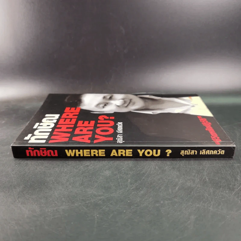 ทักษิณ Where Are You ชีวิตหลังปฎิวัติ - สุณิสา เลิศภควัต รูปที่ 3