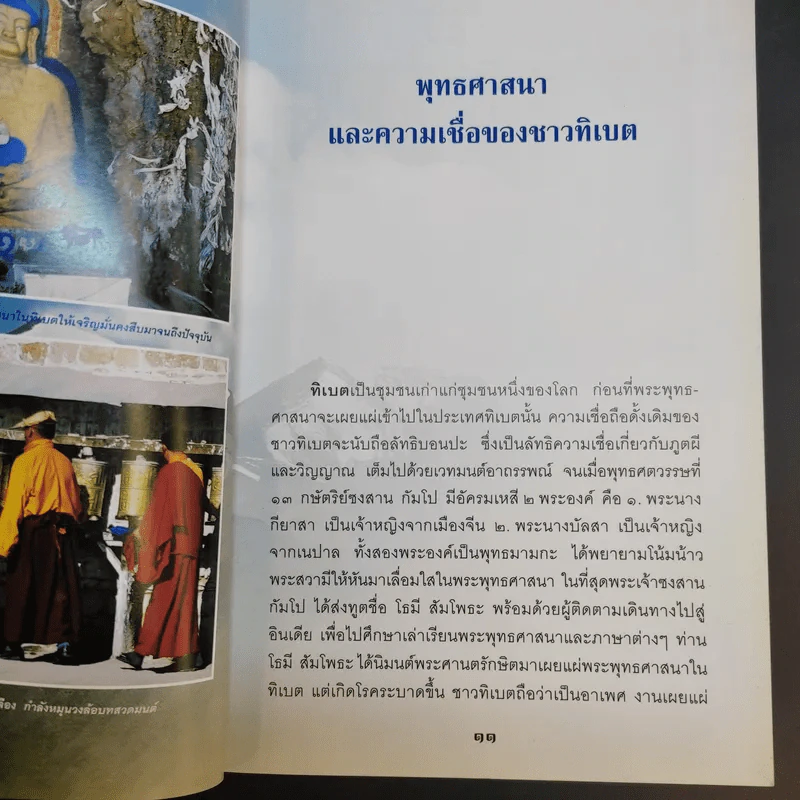 ราชาแห่งธาตุศักดิ์สิทธิ์ หินทิเบต - กณวรรธน์ กมนทัต รูปที่ 14