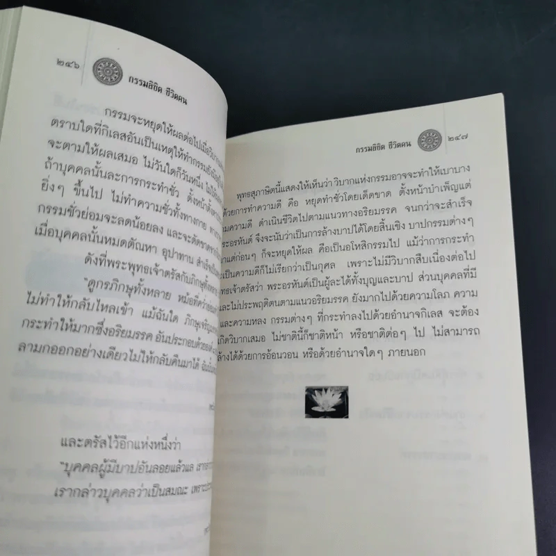 กรรมลิขิต ชีวิตคน - ศ.ศิลาแลง รูปที่ 11