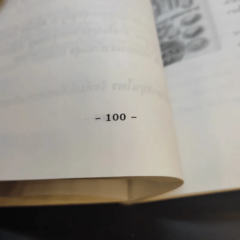 ผึ้ง - ภาณุทรรศน์ รูปที่ 13