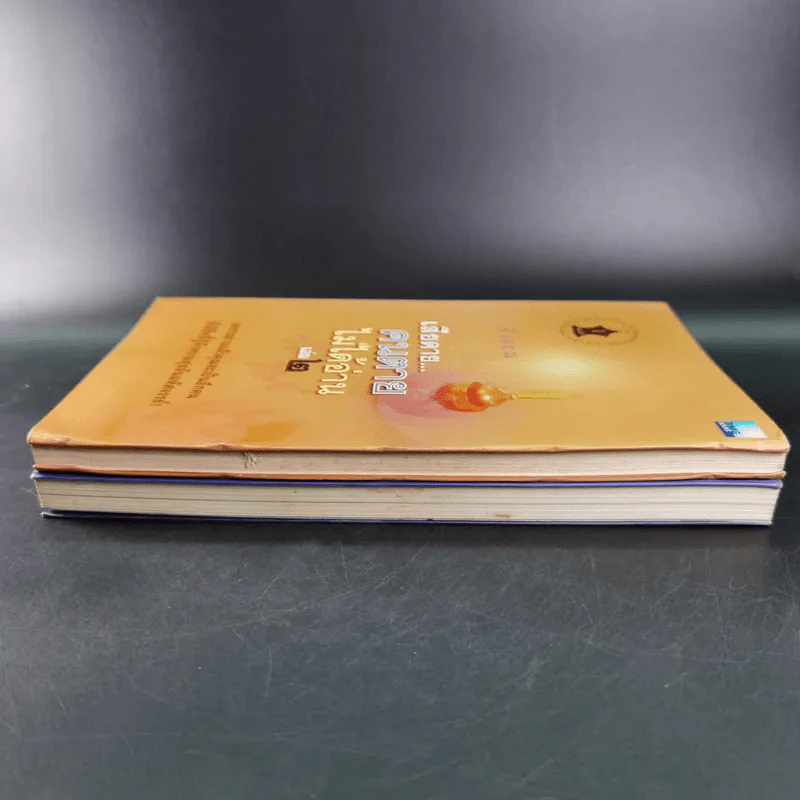 เสียดายคนตายไม่ได้อ่าน เล่ม 1-2 - ดังตฤณ รูปที่ 6