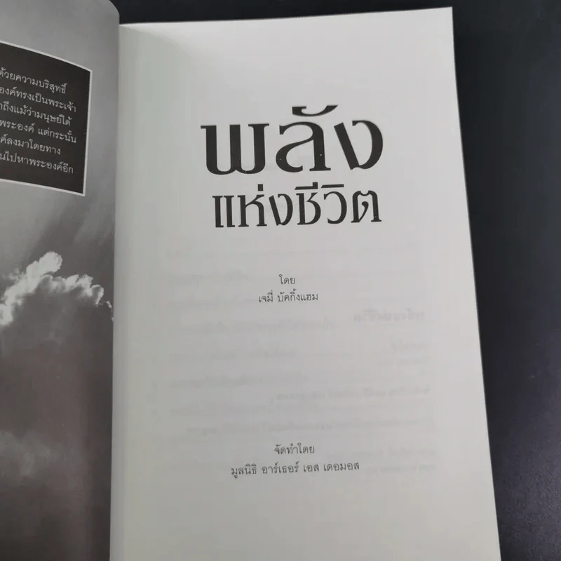 พลังแห่งชีวิต - มูลนิธิ อาร์เธอร์ เอส เดอมอส รูปที่ 8
