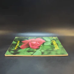 กุหลาบ - จุฑามาศ อ่อนวิมล รูปที่ 5