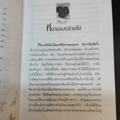 กล้วยไม้ รวมสายพันธุ์กล้วยไม้ วิธีการปลูกและการดูแลรักษาแบบมืออาชีพ รูปที่ 14