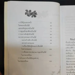 กล้วยไม้ รวมสายพันธุ์กล้วยไม้ วิธีการปลูกและการดูแลรักษาแบบมืออาชีพ รูปที่ 13
