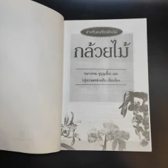 กล้วยไม้ รวมสายพันธุ์กล้วยไม้ วิธีการปลูกและการดูแลรักษาแบบมืออาชีพ รูปที่ 9