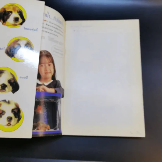 Beethoven's 2 nd เบโธเฟ่น ภาค 2 ชื่อหมา มาทั้งครอก รูปที่ 8