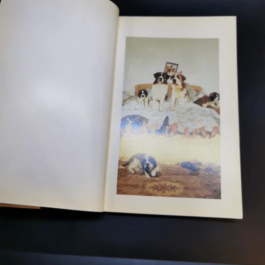 Beethoven's 2 nd เบโธเฟ่น ภาค 2 ชื่อหมา มาทั้งครอก รูปที่ 9