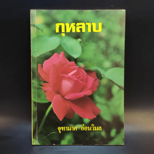 กุหลาบ - จุฑามาศ อ่อนวิมล รูปที่ 1