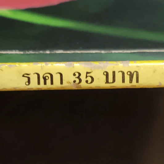 กุหลาบ - จุฑามาศ อ่อนวิมล รูปที่ 12