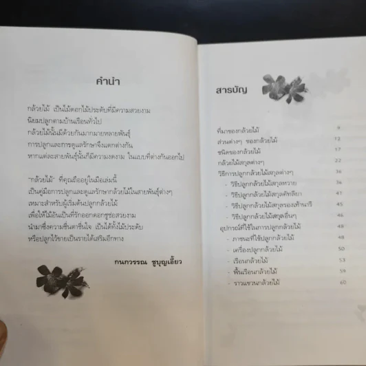 กล้วยไม้ รวมสายพันธุ์กล้วยไม้ วิธีการปลูกและการดูแลรักษาแบบมืออาชีพ รูปที่ 12