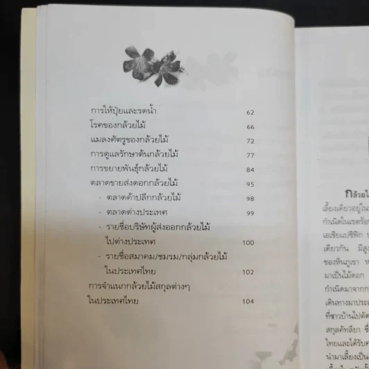 กล้วยไม้ รวมสายพันธุ์กล้วยไม้ วิธีการปลูกและการดูแลรักษาแบบมืออาชีพ รูปที่ 13