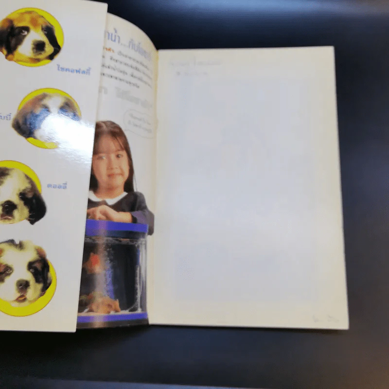 Beethoven's 2 nd เบโธเฟ่น ภาค 2 ชื่อหมา มาทั้งครอก รูปที่ 8