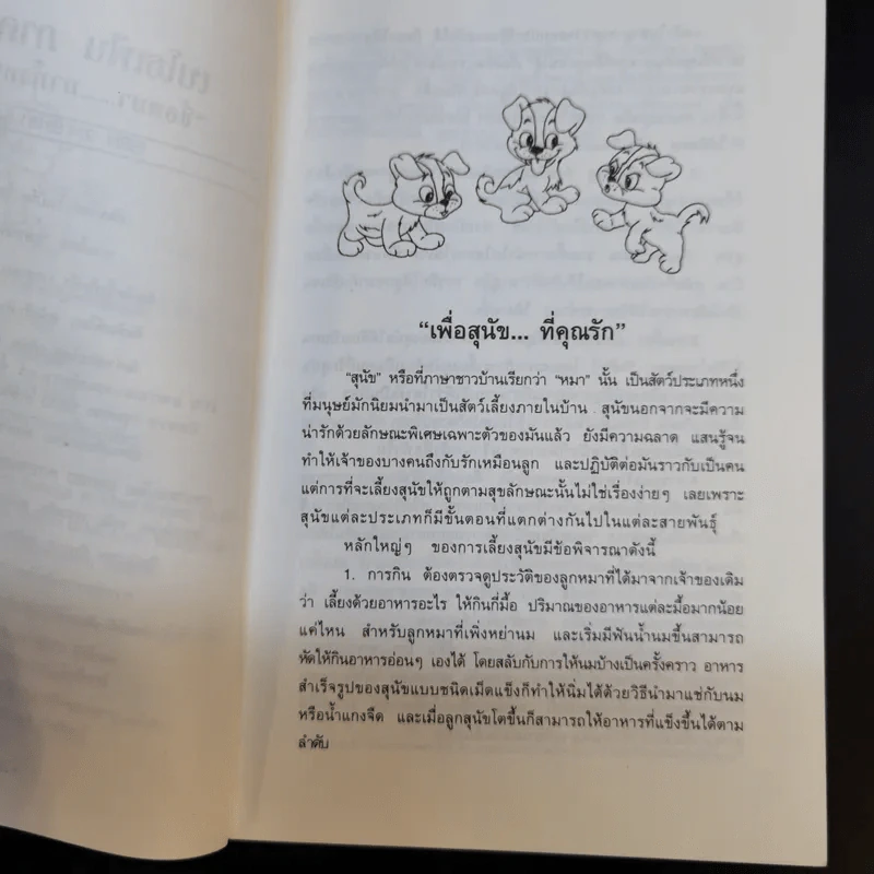 Beethoven's 2 nd เบโธเฟ่น ภาค 2 ชื่อหมา มาทั้งครอก รูปที่ 12
