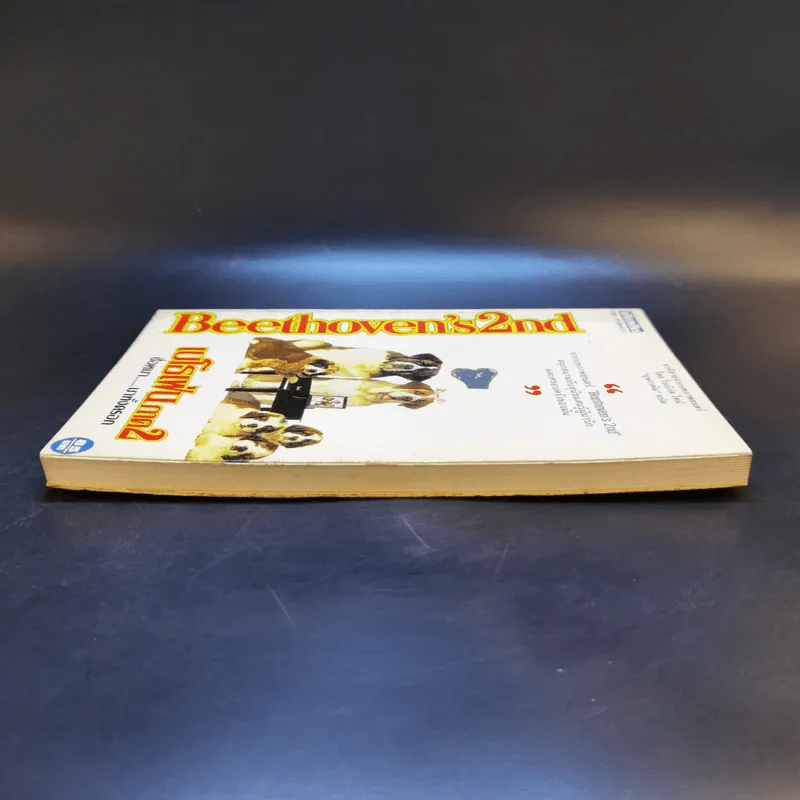 Beethoven's 2 nd เบโธเฟ่น ภาค 2 ชื่อหมา มาทั้งครอก รูปที่ 5