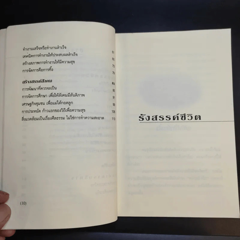 แรงดลใจแห่งชีวิต - โสภณ สุภาพงษ์ รูปที่ 14
