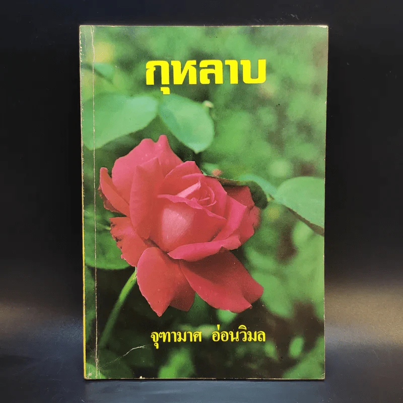 กุหลาบ - จุฑามาศ อ่อนวิมล รูปที่ 1