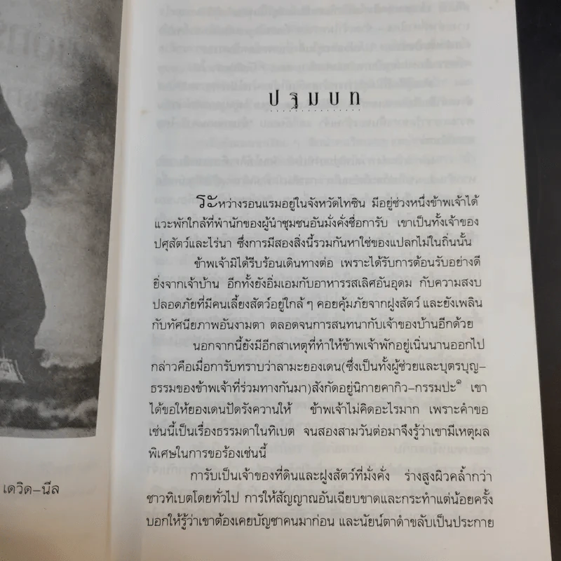 ในหมอกรักและม่านมนตร์ - อเล็กซานดรา เดวิด-นีล รูปที่ 14