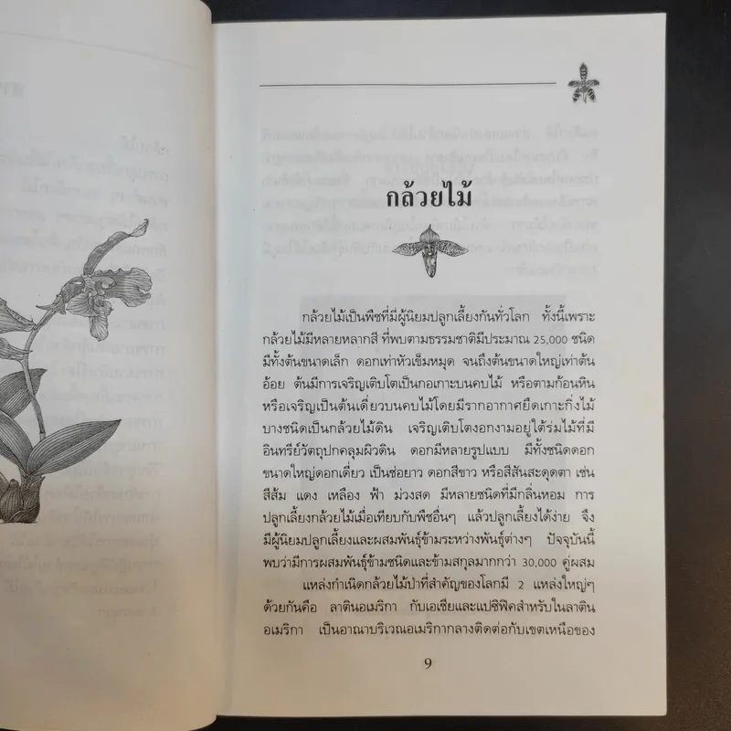 คู่มือการปลูก กล้วยไม้ - โครงการหนังสือเกษตรชุมชน รูปที่ 12