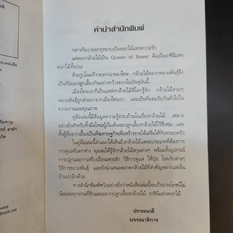 กล้วยไม้ รวมสายพันธุ์กล้วยไม้ วิธีการปลูกและการดูแลรักษาแบบมืออาชีพ รูปที่ 11