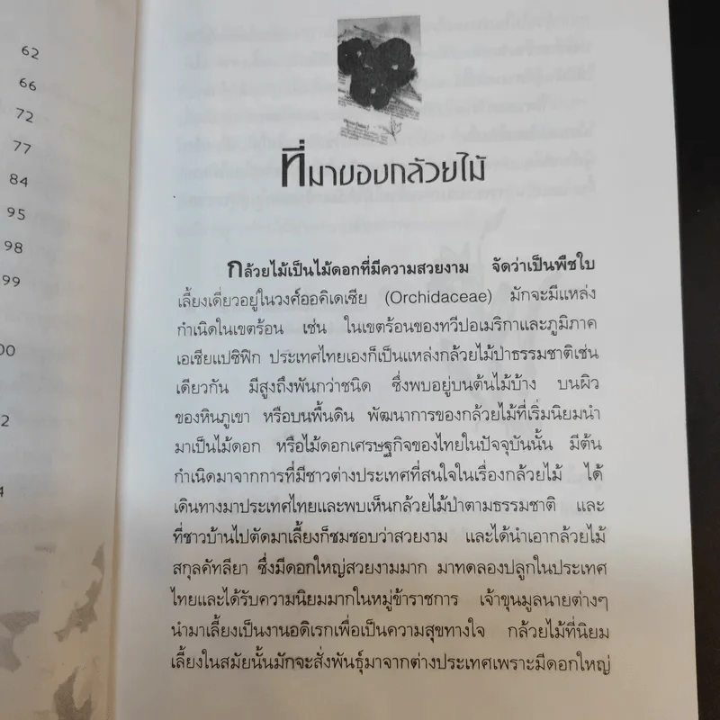 กล้วยไม้ รวมสายพันธุ์กล้วยไม้ วิธีการปลูกและการดูแลรักษาแบบมืออาชีพ รูปที่ 14