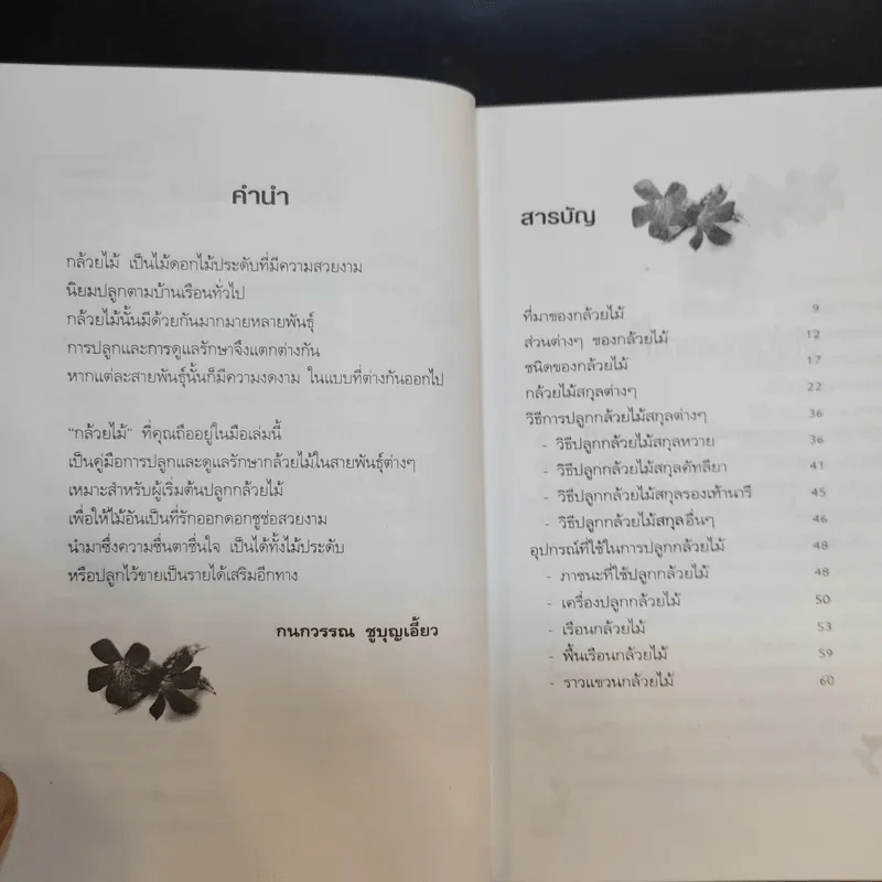 กล้วยไม้ รวมสายพันธุ์กล้วยไม้ วิธีการปลูกและการดูแลรักษาแบบมืออาชีพ รูปที่ 12