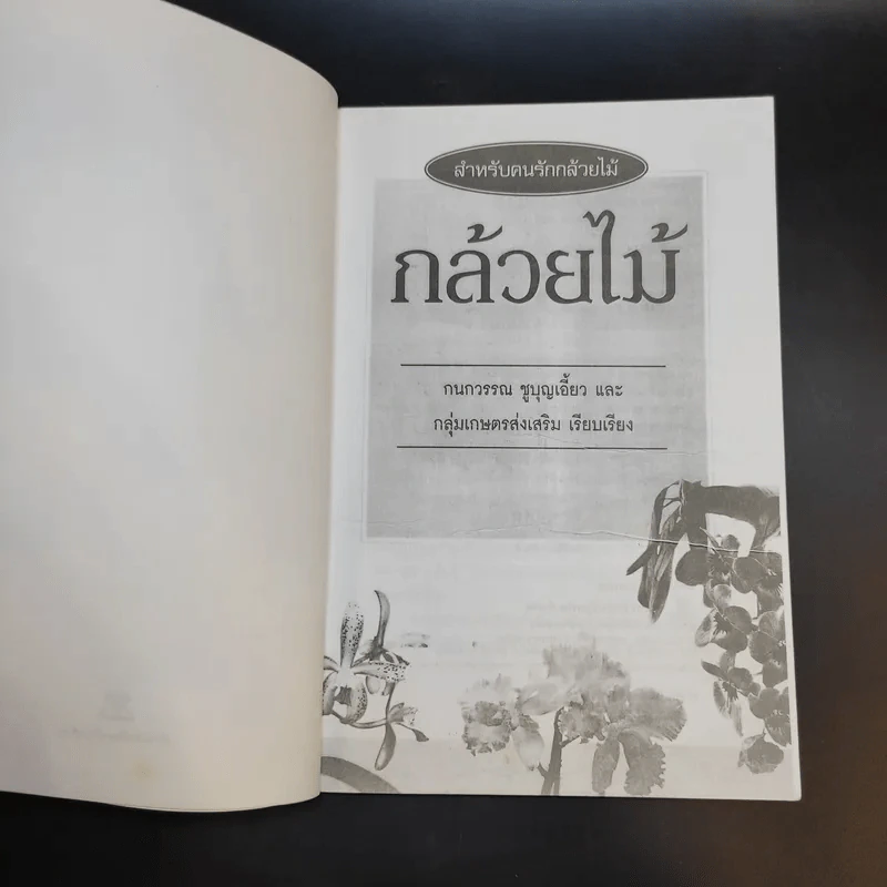กล้วยไม้ รวมสายพันธุ์กล้วยไม้ วิธีการปลูกและการดูแลรักษาแบบมืออาชีพ รูปที่ 9