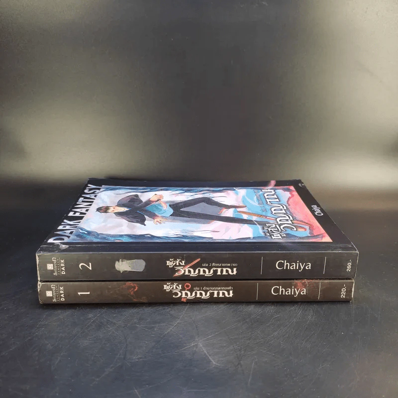 Dark Fantasy ผู้ส่งวิญญาณ 2 เล่มจบ - Chaiya รูปที่ 2