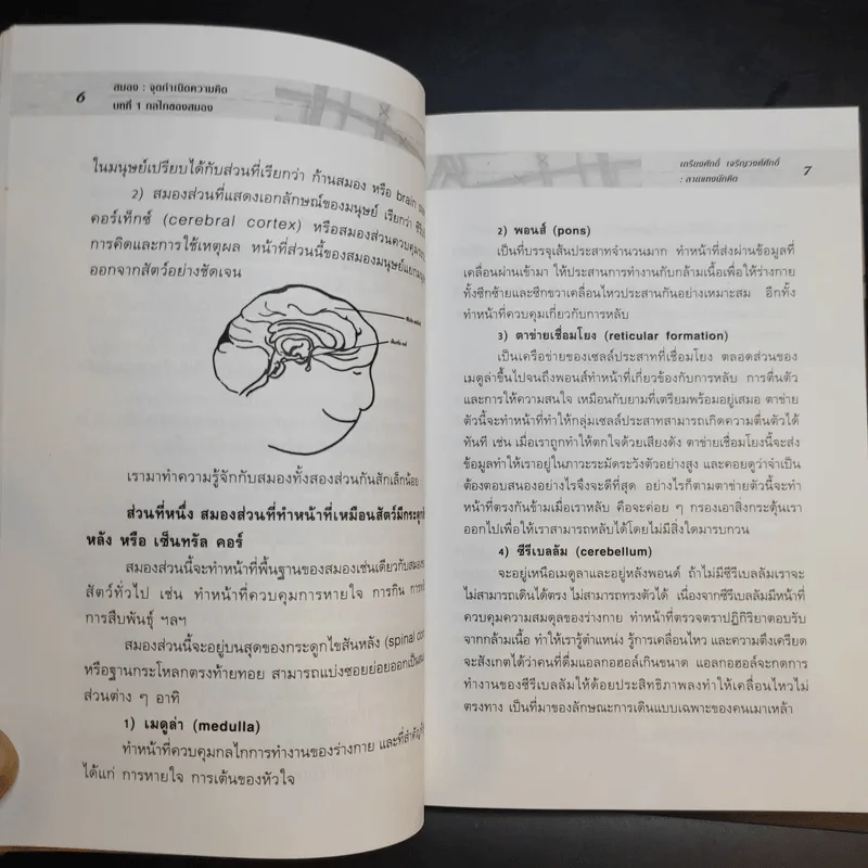 ลายแทงนักคิด ผู้ชนะ 10 คิด - เกรียงศักดิ์ เจริญวงศ์ศักดิ์ รูปที่ 12
