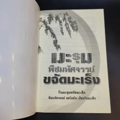 มะรุม พืชมหัศจรรย์ขจัดมะเร็ง รูปที่ 8