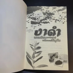 งาดำ แคลเซียมธรรมชาติ มหัศจรรย์ธัญพืช - ปัญญา ไพศาลอนันต์ รูปที่ 8