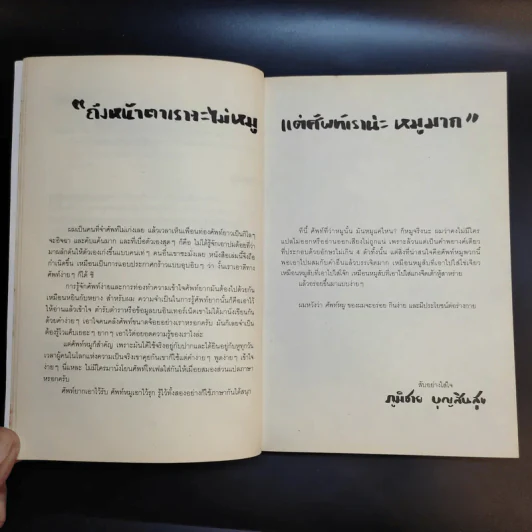 ศัพท์หมู - ภูมิชาย บุญสินสุข รูปที่ 12