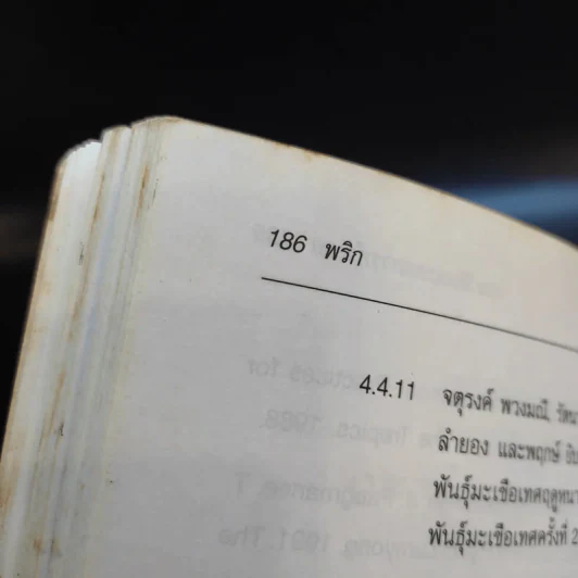 พริก - รองศาสตราจารย์ ดร.มณีฉัตร นิกรพันธุ์ รูปที่ 16