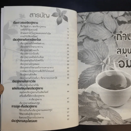 ปัญจขันธ์ เจียวกู่หลาน สมุนไพรอมตะ ต้านมะเร็ง - ไกรภพ สาระกูล รูปที่ 10