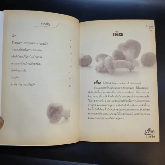 เห็ดต้านมะเร็ง - ดร.นารี วิลสมิท รูปที่ 10