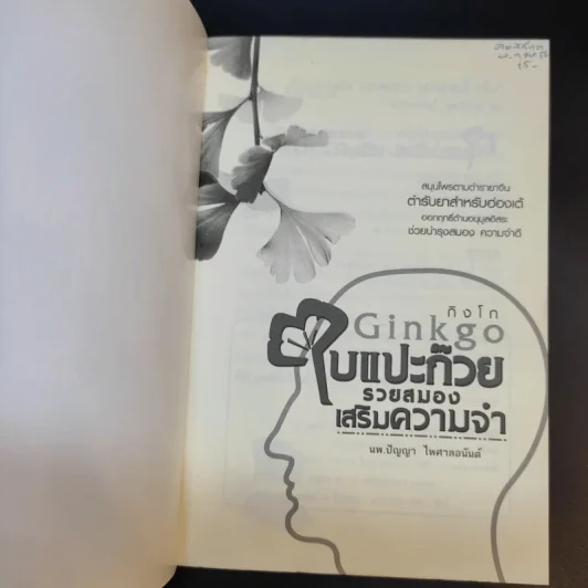 Ginkgo กิงโก ใบแปะก๊วย รวยสมอง เสริมความจำ - นพ.ปัญญา ไพศาลอนันต์ รูปที่ 8