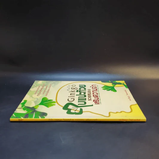 Ginkgo กิงโก ใบแปะก๊วย รวยสมอง เสริมความจำ - นพ.ปัญญา ไพศาลอนันต์ รูปที่ 3