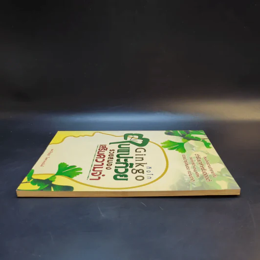 Ginkgo กิงโก ใบแปะก๊วย รวยสมอง เสริมความจำ - นพ.ปัญญา ไพศาลอนันต์ รูปที่ 5