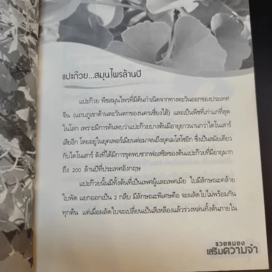 Ginkgo กิงโก ใบแปะก๊วย รวยสมอง เสริมความจำ - นพ.ปัญญา ไพศาลอนันต์ รูปที่ 11