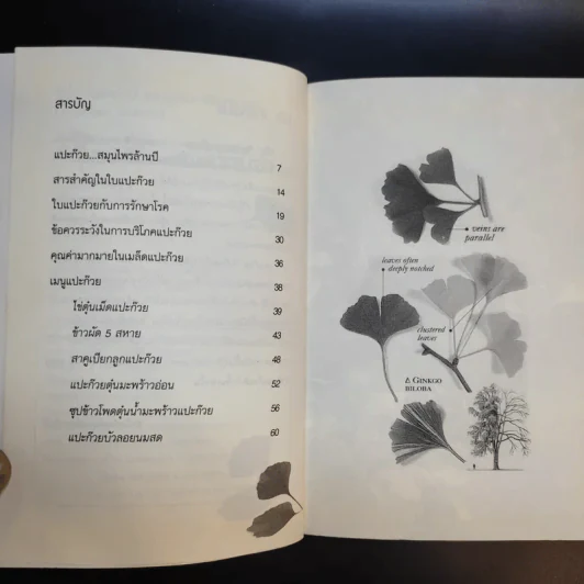 Ginkgo กิงโก ใบแปะก๊วย รวยสมอง เสริมความจำ - นพ.ปัญญา ไพศาลอนันต์ รูปที่ 10