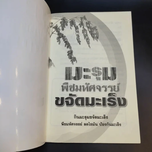 มะรุม พืชมหัศจรรย์ขจัดมะเร็ง รูปที่ 8