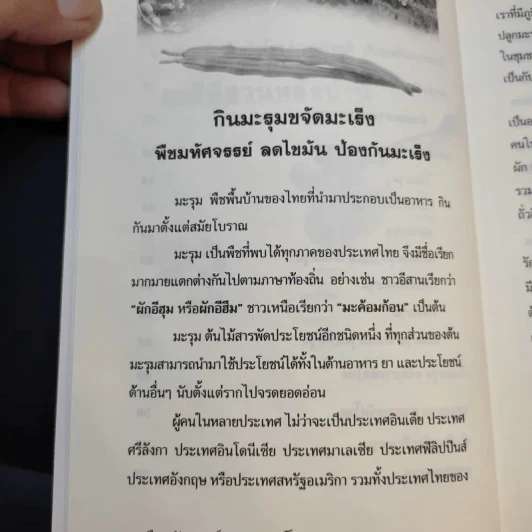 มะรุม พืชมหัศจรรย์ขจัดมะเร็ง รูปที่ 10