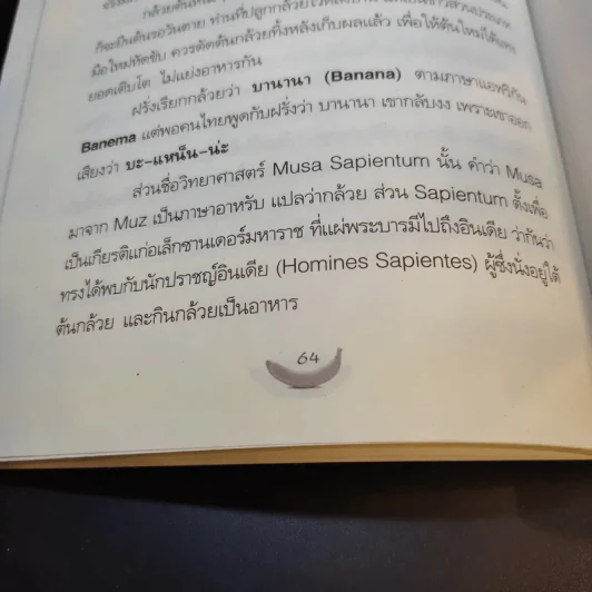 กิน กล้วย ช่วยชีวิต - นพ.ปัญญา ไพศาลอนันต์ รูปที่ 12