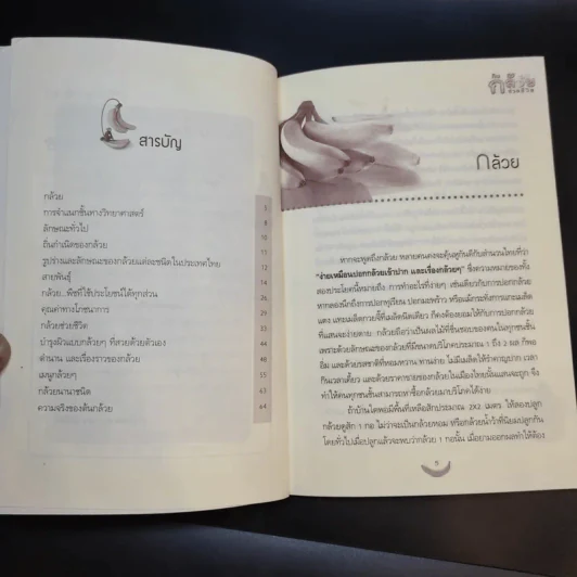 กิน กล้วย ช่วยชีวิต - นพ.ปัญญา ไพศาลอนันต์ รูปที่ 10