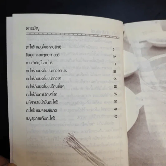 ตะไคร้ สมุนไพรกายสิทธิ์ พิชิต 108 โรค - นพ.ปัญญา ไพศาลอนันต์ รูปที่ 10