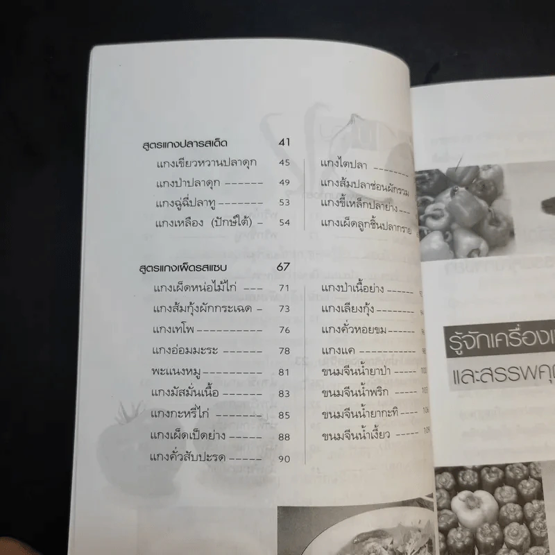 อร่อยเด็ดแกงเผ็ดเลิศรส - ยอดยิ่ง ถาวรไทย รูปที่ 10